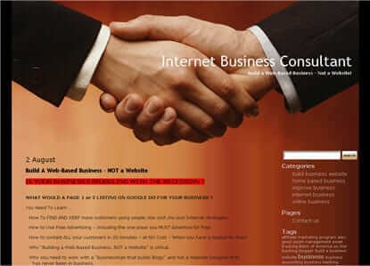 Internet Business Consultant